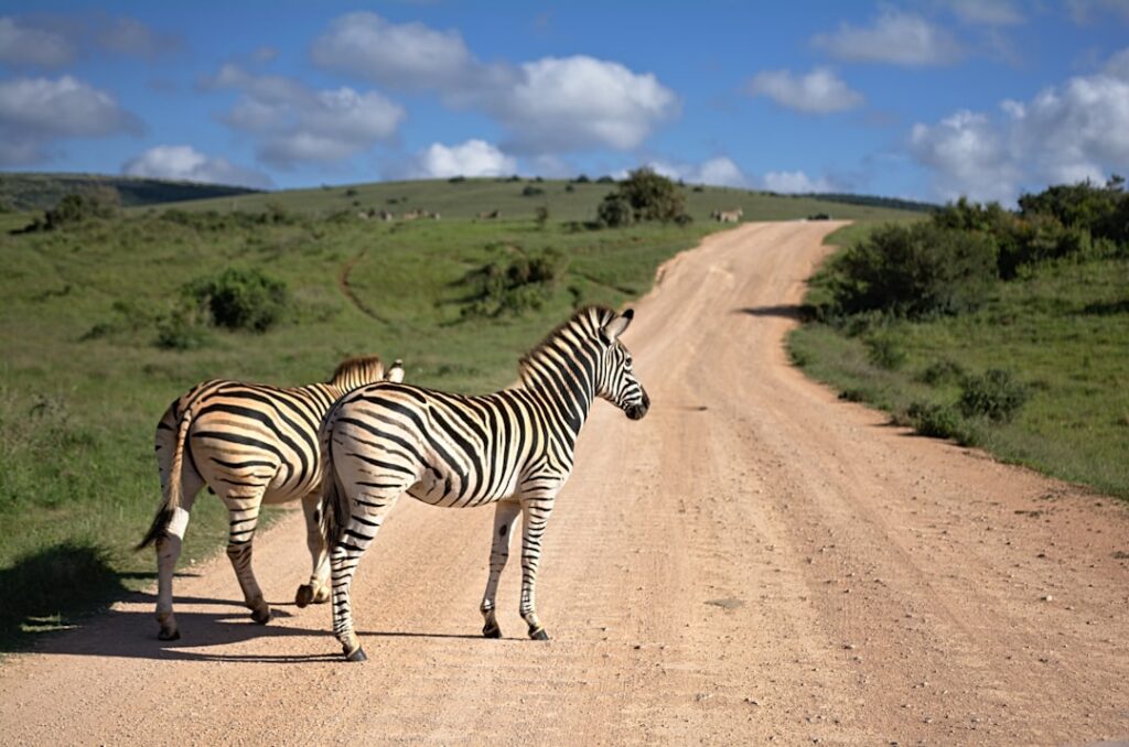 Etosha National Park